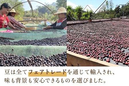日向珈琲セット(ブレンド／グアテマラ／ミャンマー130g 粉＋ドリップパック 6個×3種 計18個) [0450]