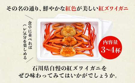 【訳あり】金沢港より直送！ボイル紅ズワイガニ3～4杯セット 紅ズワイガニ かに カニ ズワイガニ 石川 訳あり 紅ズワイガニ かに カニ ズワイガニ 石川 訳あり 紅ズワイガニ かに カニ ズワイガニ