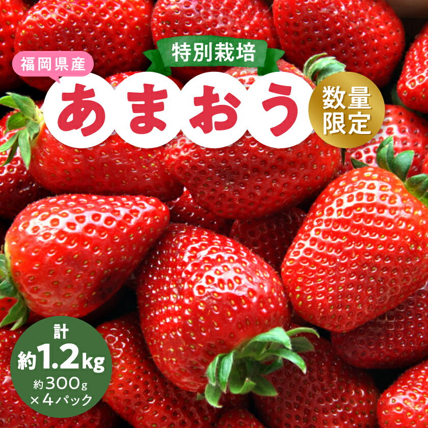 【ふるさと納税】【数量限定】特別栽培あまおう4パック【2025年12月より順次発送】_ いちご イチゴ 苺 あまおう 果物 フルーツ くだもの ふるーつ 青果 果実 甘い 大粒 大きい 旬 専門店 希少 【配送不可地域：離島】【1445836】