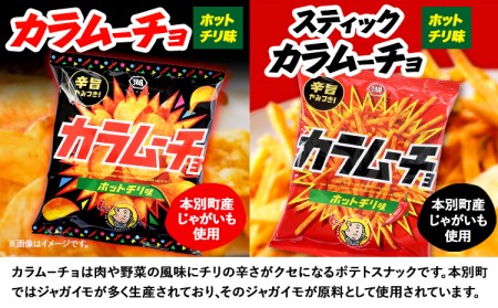 湖池屋 「のり塩・カラムーチョセット」(各12袋×1箱) ポテトチップス　ポテトチップス《30日以内に出荷予定(土日祝除く)》 