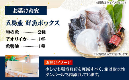 金沢仕立て鮮魚ボックス (旬の魚2種とアオリイカと魚醤油のセット) 詰め合わせ 三枚卸 真空パック 処理済み 五島市/金沢鮮魚 [PEP002] アオリイカ いか イカ アオリイカ いか イカ アオリ