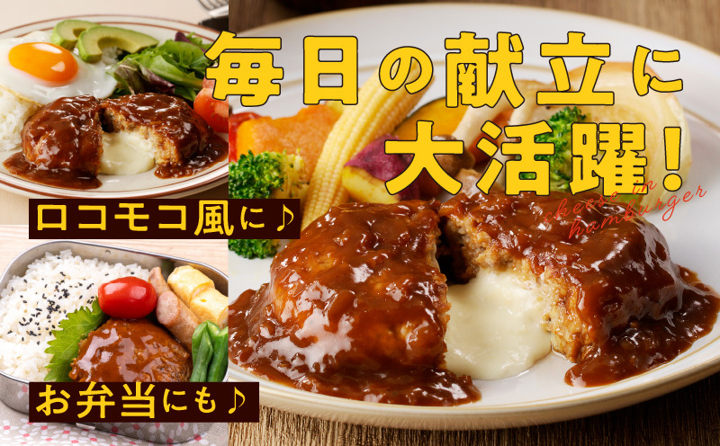 特製ソース チーズインハンバーグ 16個 個包装 200g×16個【泉州玉ねぎ使用 はんばーぐ 人気 惣菜 小分け レンチン 湯煎 簡単調理】 099H2888_イメージ4