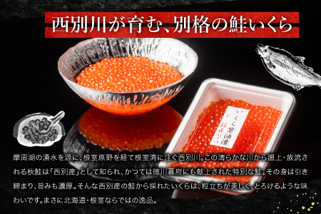 【北海道根室産】[鮭匠ふじい]いくら醤油漬50g×8P B-42083