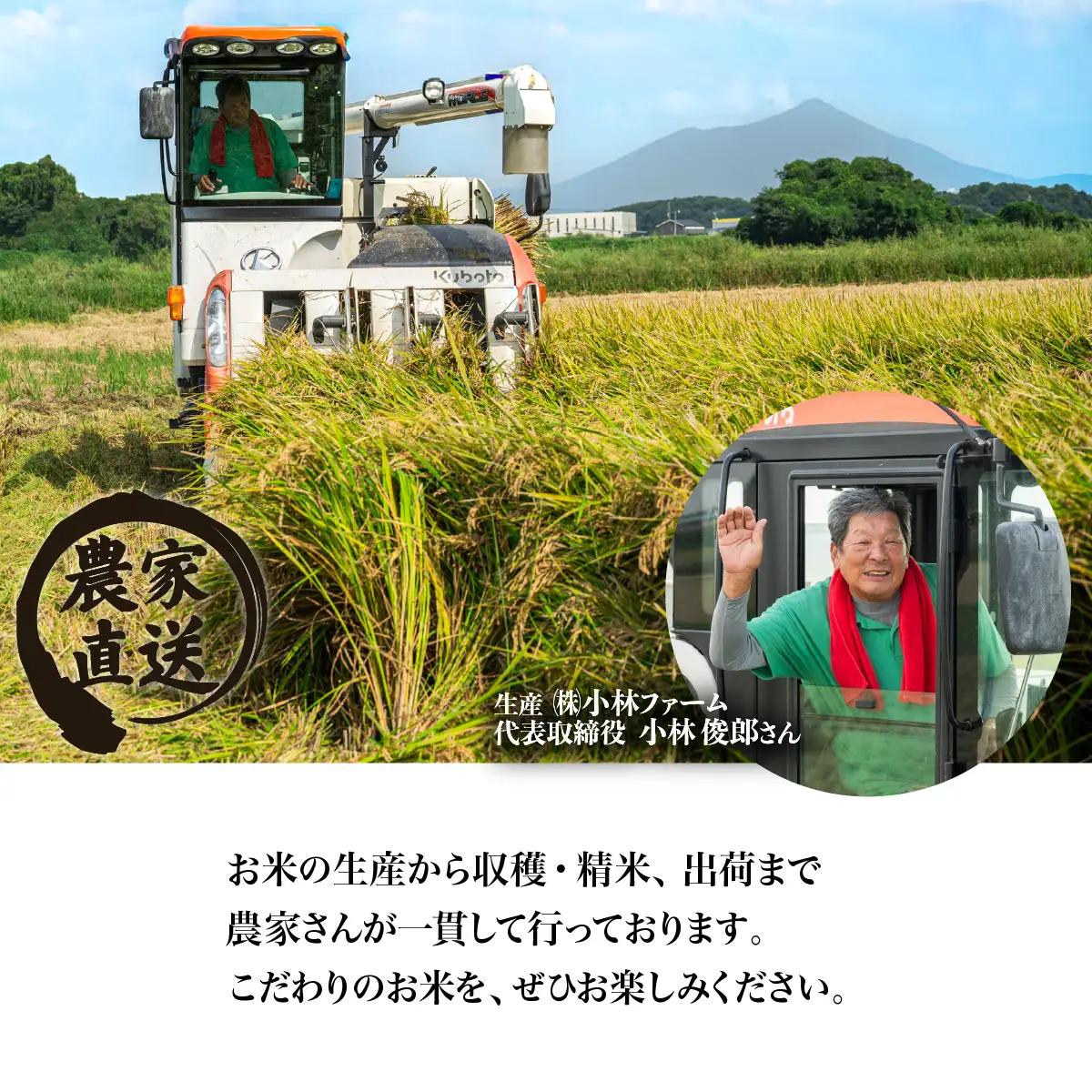 精米 10kg 令和7年産 コシヒカリ 茨城県 下妻市産