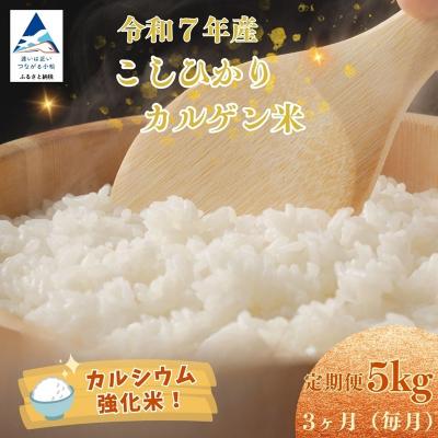 ふるさと納税 小松市 【定期便】令和7年産 こしひかりカルゲン米 5kg×3ヶ月(毎月) | 石川県 小松市 坂口農園