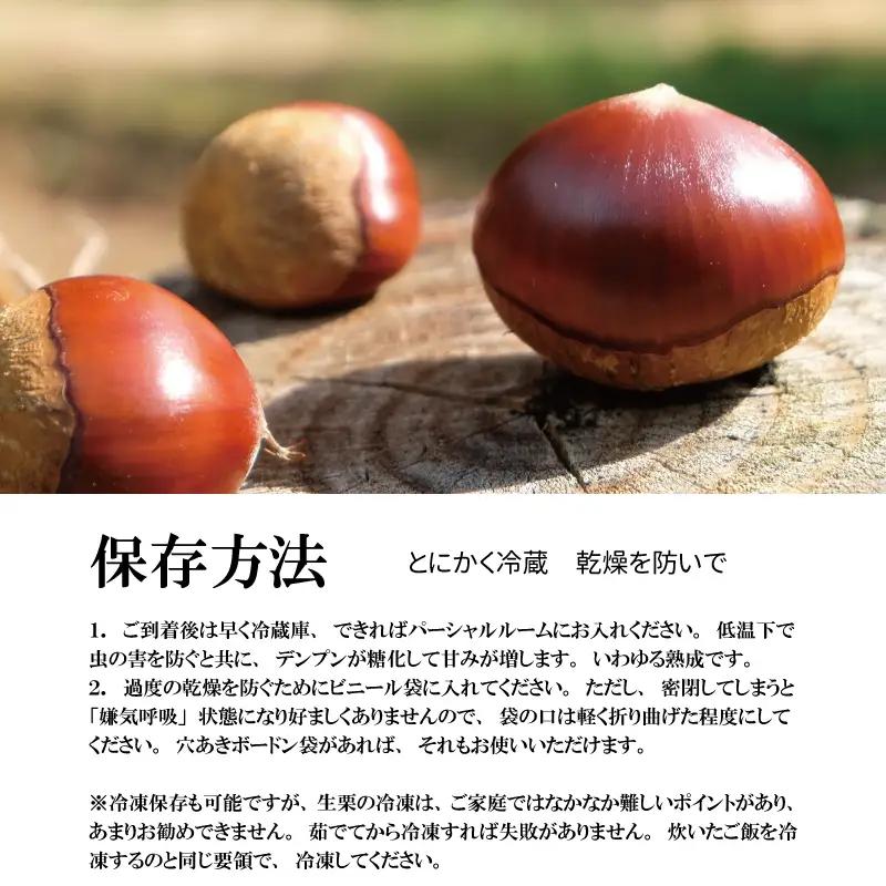 チルド熟成 丹波くり 4L 500g / 栗