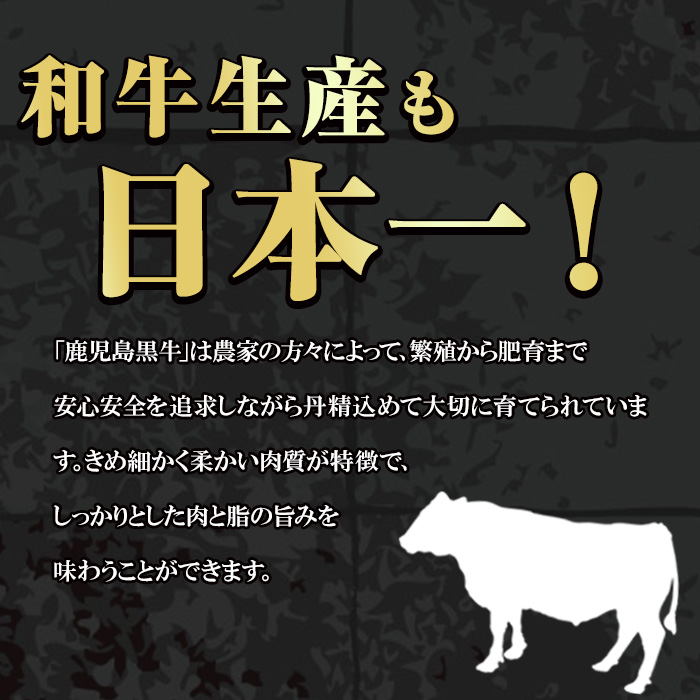 i051 ＜E-301＞肉質最高ランク等級5等級　鹿児島黒牛サーロインステーキ(2枚)・すきやき(4〜5人前)セット(計1kg)【JA鹿児島いずみ】