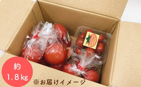 熊野薬草園のトマトMIX（1.8㎏） トマト ミックス お楽しみ 熊野