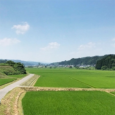 【青森ごのへ産】 パリッと、シャキッとした王林 約5kg(16～20玉)【配送不可地域：離島・沖縄県・中国・四国・九州】