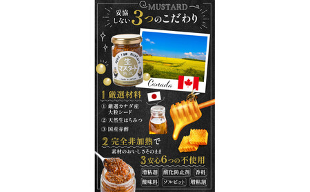 熟成 生マスタード　6個セット