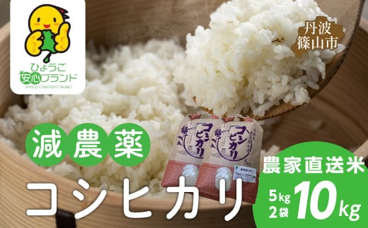 【令和7年産】大自然で育てた「コシヒカリ」10kg(5kg x 2) 兵庫県 丹波篠山市 白米 100％単一原料米 産地直送米 贈答 おいしい お米 精米 コシヒカリ ブランド おこめ 健康 ギフト 