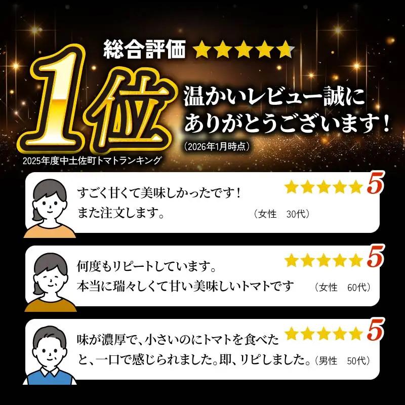 【2026年11月中旬～発送】 トマト フルーツミニトマト 1kg 高糖度 フルーツ ミニトマト