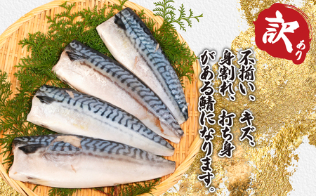 訳あり 無塩さば 5kg 鯖