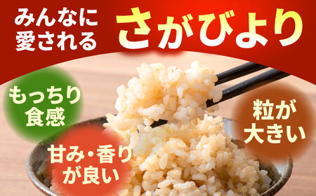 【令和7年11月以降順次発送】【令和7年度産】 特別栽培米 さがびより（玄米） 5kg 【y'scompany】[IAS021]