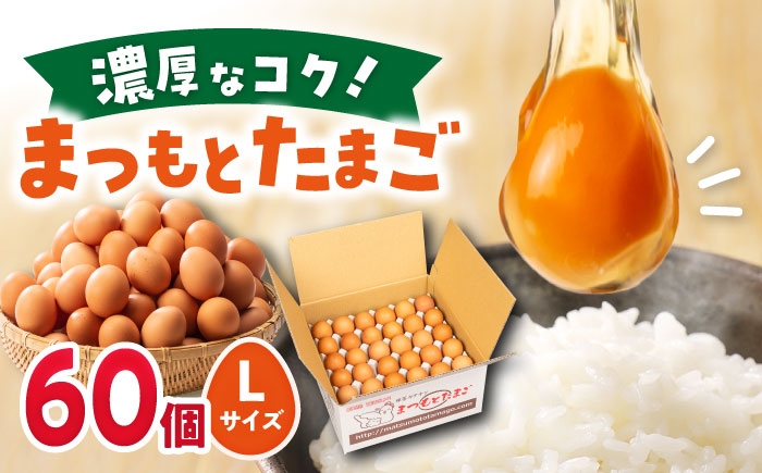 
                  【卵 Lサイズ】まつもとたまご Lサイズ 赤玉 60個 卵 たまご 長崎県産 西海市 たまご 卵 玉子 タマゴ 鶏卵 オムレツ 卵かけご飯 朝食 料理 人気 卵焼き ＜松本養鶏場＞[CCD005]
                