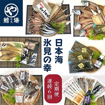 ふるさと納税 氷見市 【毎月定期便】氷見の旨いもん22種!氷見ぶり・一夜干し・昆布〆お刺身・氷見うどん・ほたるいか全6回