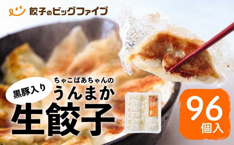 
ちゃこばあちゃんの黒豚入りうんまか生餃子　96個入り　K027-002
