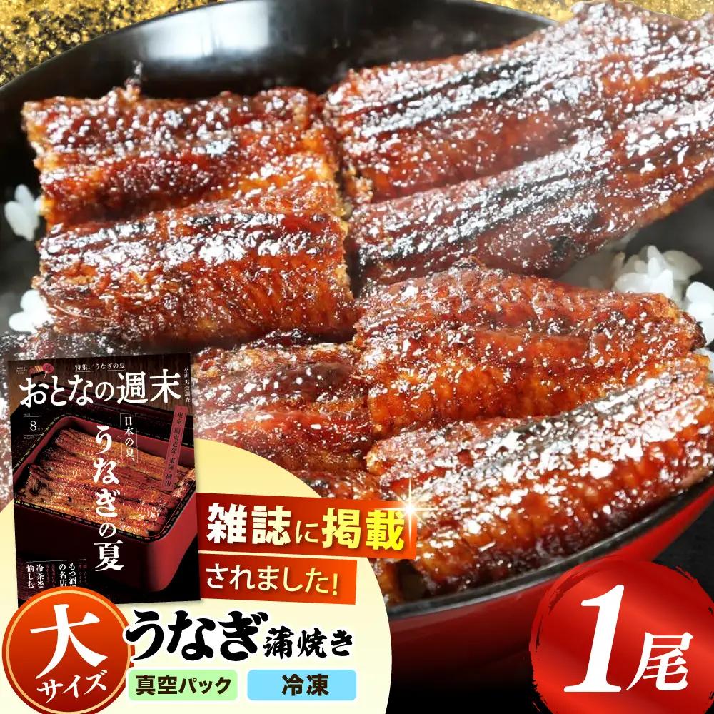 うなぎの蒲焼き 1尾 多治見市/うなぎや[TFO001] ウナギ 