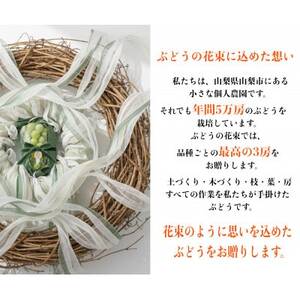 【2026年先行予約】サンシャインレッド 富士の輝 シャインマスカット 2kg 3房(各1房)【配送不可地域：離島】【1694811】