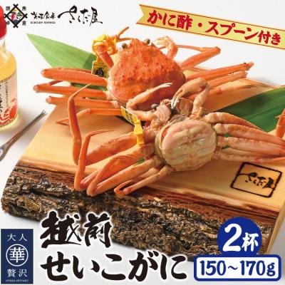 ふるさと納税 越前町 浜茹で越前せいこがに約150g〜170g2杯　かに酢&amp;かにスプーン付き!!