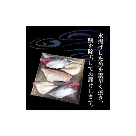 【スピード配送】 天然 鮮魚 詰め合わせ 朝獲れ直送 下処理済み 2~3種入り 500g以上 冷凍 刺身 魚種お任せ 水揚げ 海鮮 魚介 産地直送 新鮮 魚 鮮魚ボックス