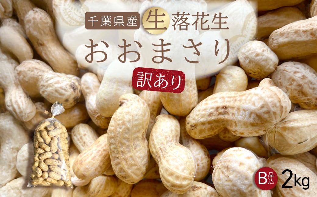 
            【先行受付・9月上旬より順次発送！】【訳あり】おおまさり 生落花生 2kg  ／ふるさと納税 落花生 生 生落花生 おおまさり 生おおまさり B品 訳あり 訳アリ 大粒 希少 旬 季節限定 ふっくら 柔らか ほくほく 甘い 塩ゆで 千葉県 山武市 SMAH012
          