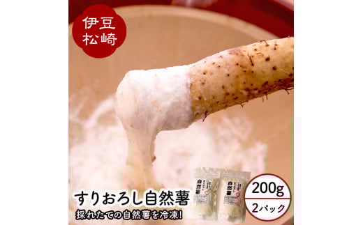 婆娑羅農産 すりおろし自然薯 2パック