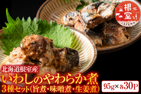 【12/31決済分まで1月中配送】 【北海道根室産】いわし煮付けセット(3種・各30P) F-09014