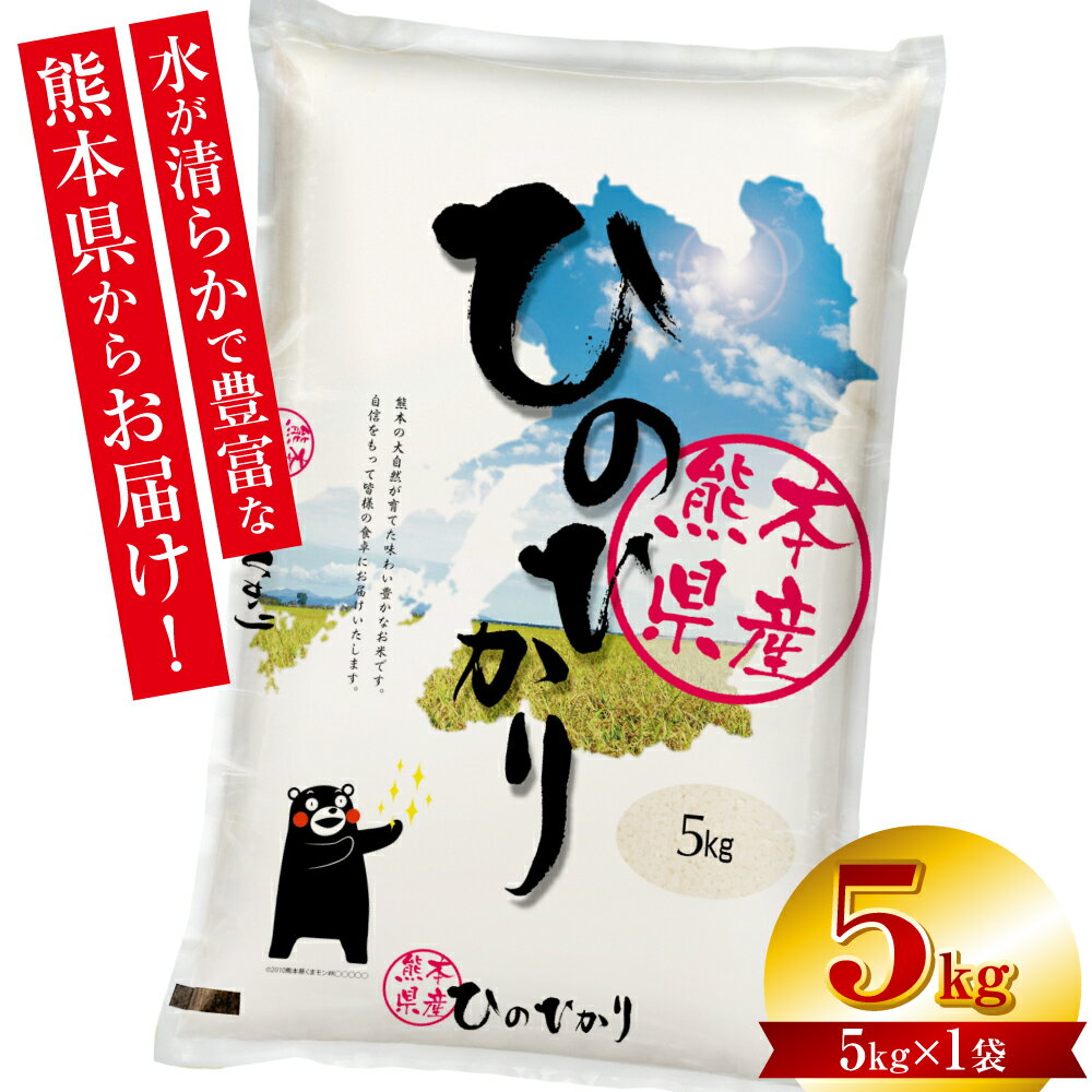 【ふるさと納税】【令和7年産】 熊本県産 くまモンひのひかり 5kg (5kg×1袋) 米 お米 精米 白米 ごはん ご飯 熊本 送料無料