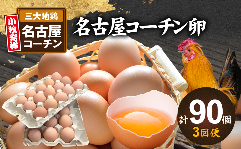 【3回便】名古屋コーチン卵(30個入り)×3回（計90個） [006K01-T]