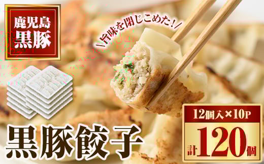 
            A02046 黒豚餃子セット（12個入×10パック）鹿児島 国産 九州産 自家農場 黒豚 黒ぶた 豚肉 冷凍 餃子 ギョーザ ぎょうざ おかず 惣菜【和田養豚】
          