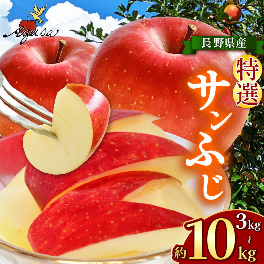 【ふるさと納税】【選べる】サンふじ特選 3kg～10kg｜ふるさと納税 松本市 サンふじ 果物 林檎 りんご 果物 フルーツ 信州 美味しい 特選