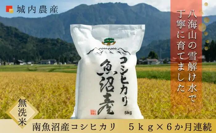 【令和７年産 】【お米定期便/全６回】南魚沼産コシヒカリ　無洗米５ｋｇ＜５割減農薬栽培米＞城内農産