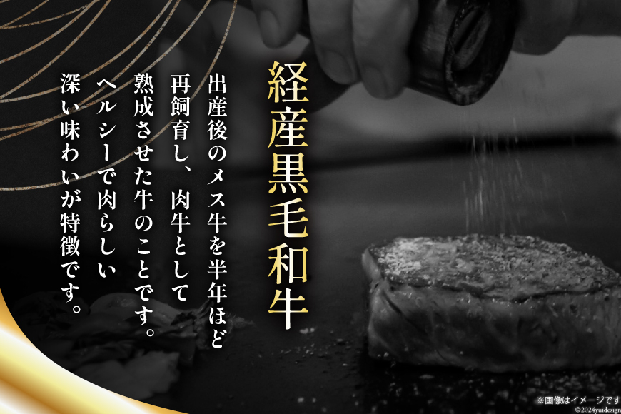 6回 定期便 宮崎県産 黒毛和牛 サーロイン ステーキ 300g ×3×6ヶ月 合計5.4kg [サンアグリフーズ 宮崎県 美郷町 31ba0035] 小分け 冷凍 送料無料 国産 牛 肉 霜降り B