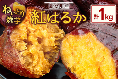 特製焼き芋！熟成蜜芋「紅はるか」計1kg 国産 新富町産［12月～5月出荷］さつまいも ねっとり焼芋 イモ【A309-1205】