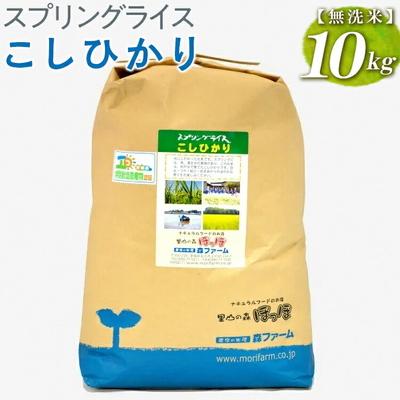 ふるさと納税 古河市 スプリングライス こしひかり (無洗米)10kg | 米 こめ コメ 10キロ 無洗米 _BI40
