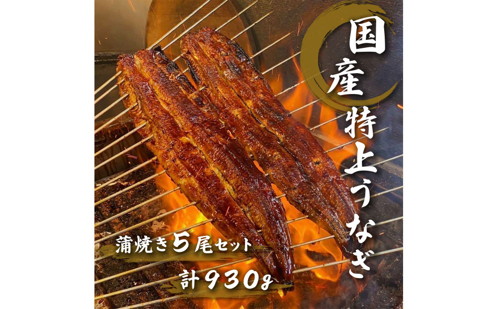 名古屋の老舗卸直営！手焼き国産鰻蒲焼き５尾セット計930g