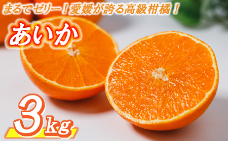 【紅まどんなと同品種】 高級 みかん あいか 3kg ＜11月中旬〜発送＞ 愛媛県松山市 【AIS019】