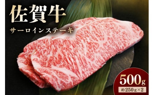 佐賀牛 サーロインステーキ 500g 194-J1623