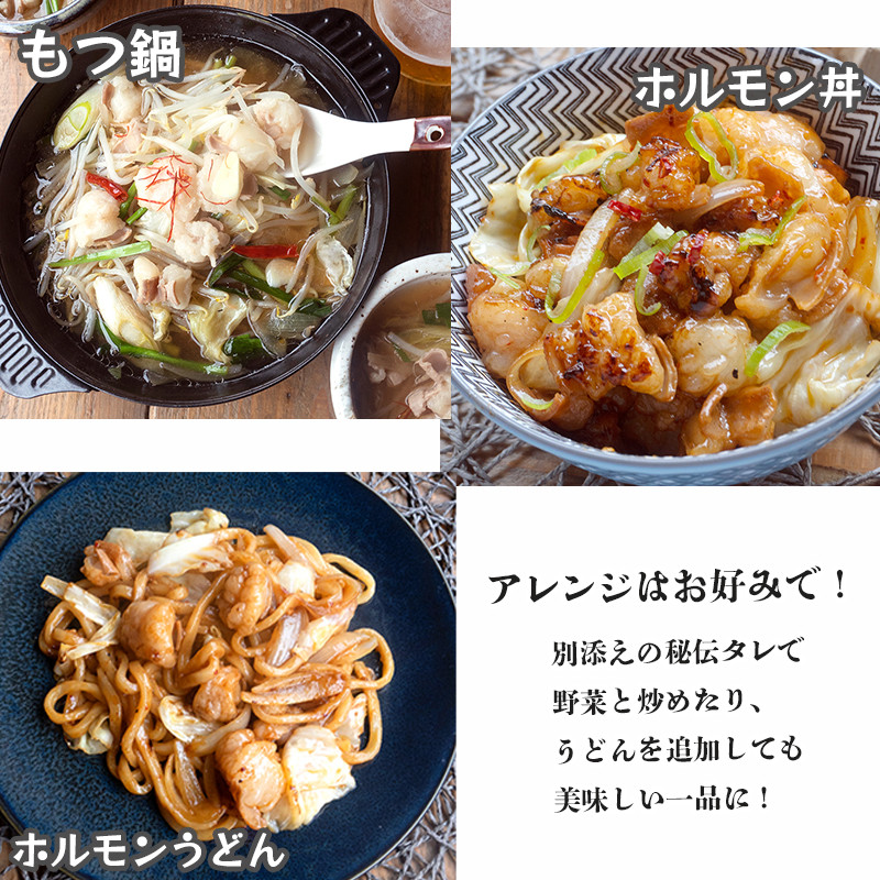 A5 黒毛和牛 焼肉用MIX ホルモン セット 600g