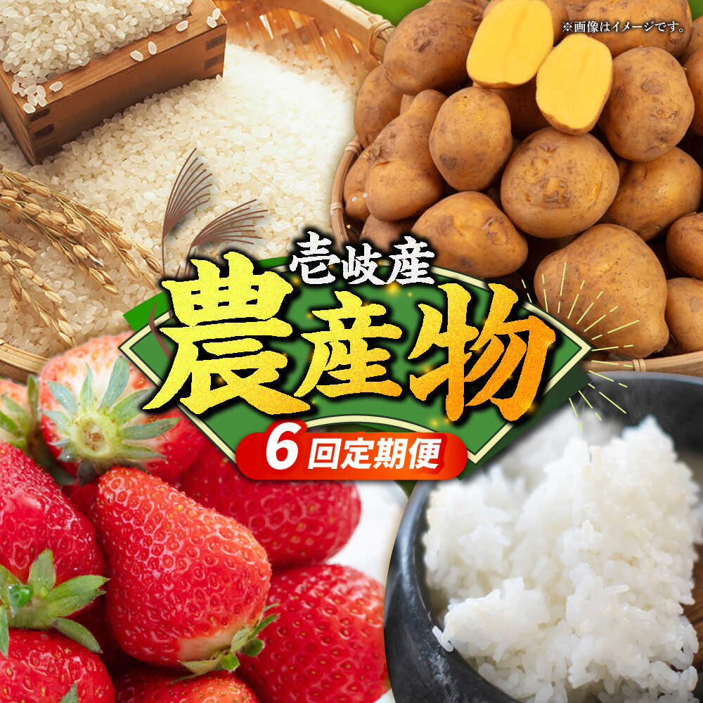 【ふるさと納税】【先行予約】【全6回定期便】壱岐産農産物定期便【2026年10月以降順次発送】《壱岐市》【壱岐市農業協同組合】米 コシヒカリ じゃがいも いちご 野菜セット[JBO159] 90000 90000円 9万円