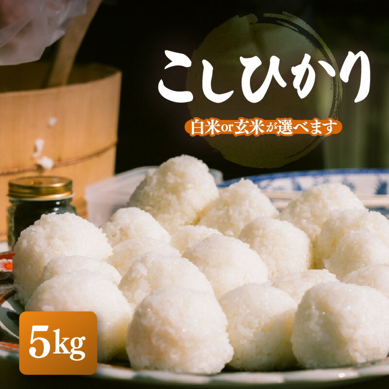 【ふるさと納税】【先行予約】【令和8年産】こしひかり 5kg【選べる精米方法：白米/玄米】【2026年10月中旬以降順次発送】【こめ コシヒカリ 人気品種 ブランド米 5キロ 白米 精米 玄米 おにぎり うまい 福井県ブランド米】