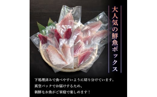 天然 鮮魚 詰め合わせ 朝獲れ直送 下処理済み 3~5種入り 1kg～1.5kg （2026年5月出荷） 冷蔵 刺身 魚種お任せ 水揚げ 海鮮 魚介 産地直送 新鮮 魚 鮮魚ボックス