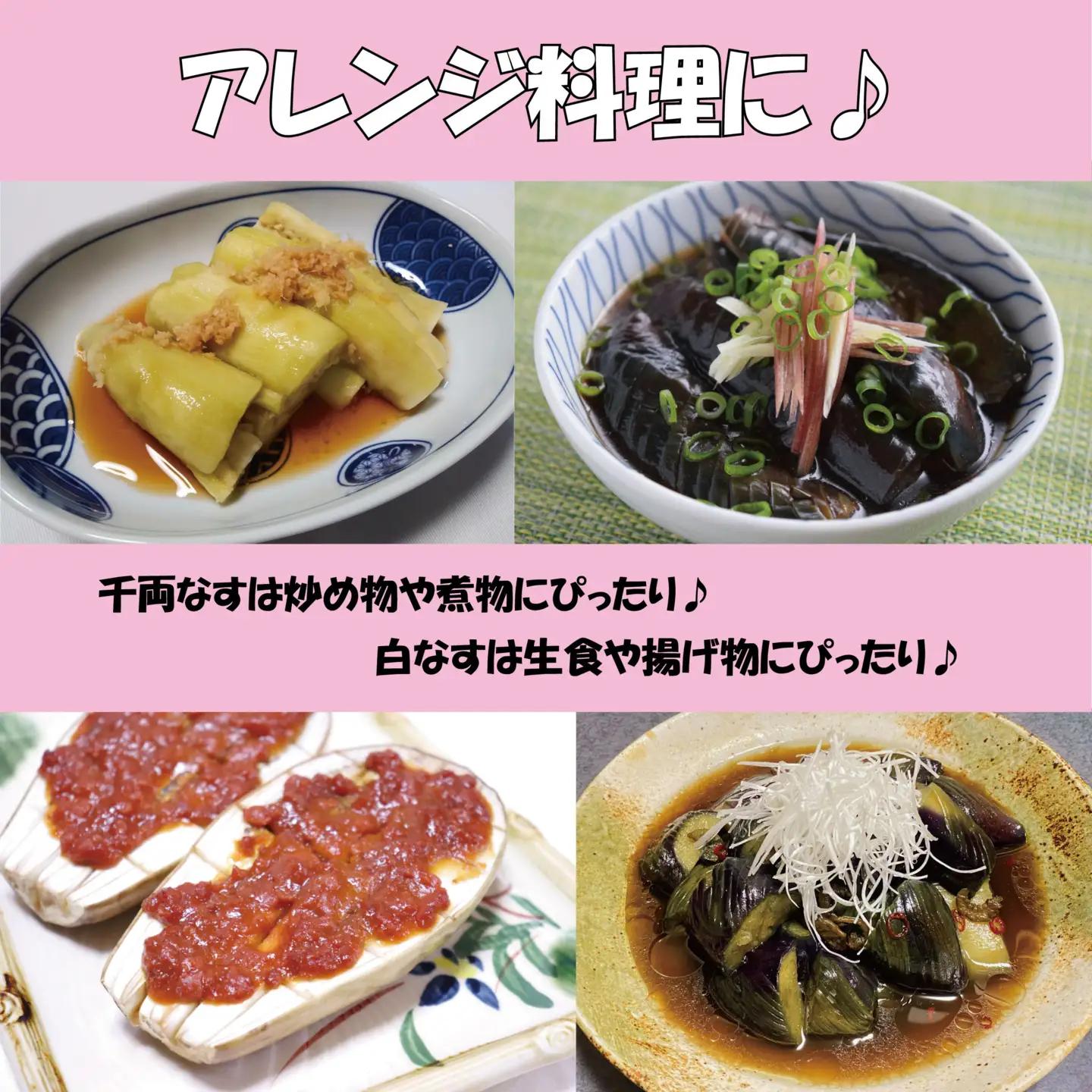 なす 千両なす 白なす 2色 セット 約2kg