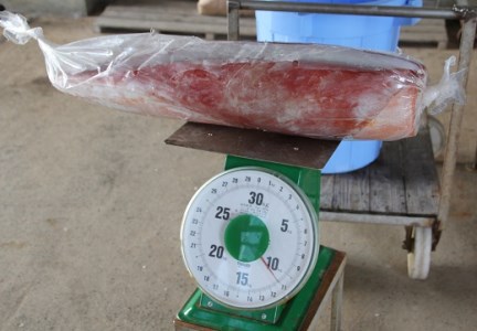 【2025年12月から発送】冷凍ソデイカ　200g(1~2人前)【真空冷凍】