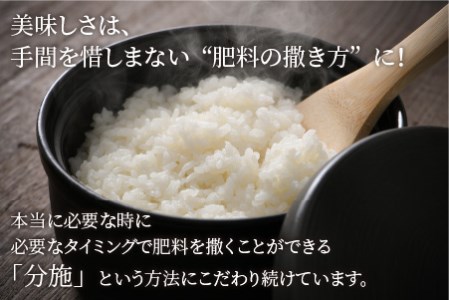 【令和5年産】【特別栽培米】福井県産 コシヒカリ 10kg ～化学肥料にたよらない有機肥料100%～ ネオニコフリー（玄米）[A-13405_02]