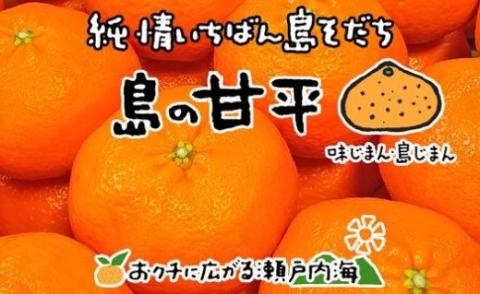 甘平(かんぺい) 家庭用 約3kg 【2026年2月中旬から発送予定】愛媛 中島産 おすすめ人気  愛媛県産 みかん 柑橘 希望の島