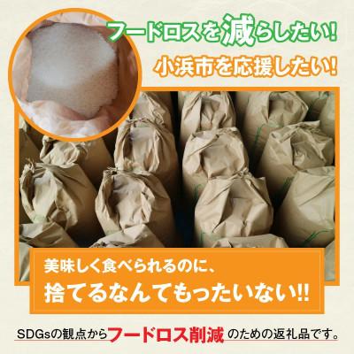 ふるさと納税 小浜市 令和7年産　家計応援米 10kg(10kg×1袋) |  | 03