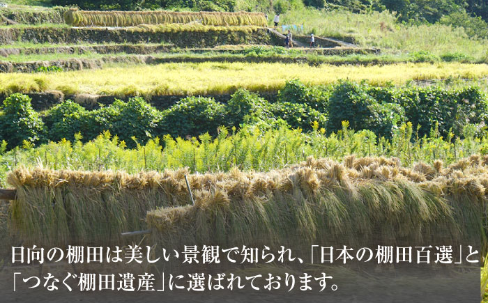 虚空蔵の清流水で育った棚田米『ひなた米』 8kg(2kg×4袋) 【木場中山間管理組合】[OCM025] / 精米 新米 こめ ごはん おいしい ふっくら ヒノヒカリ