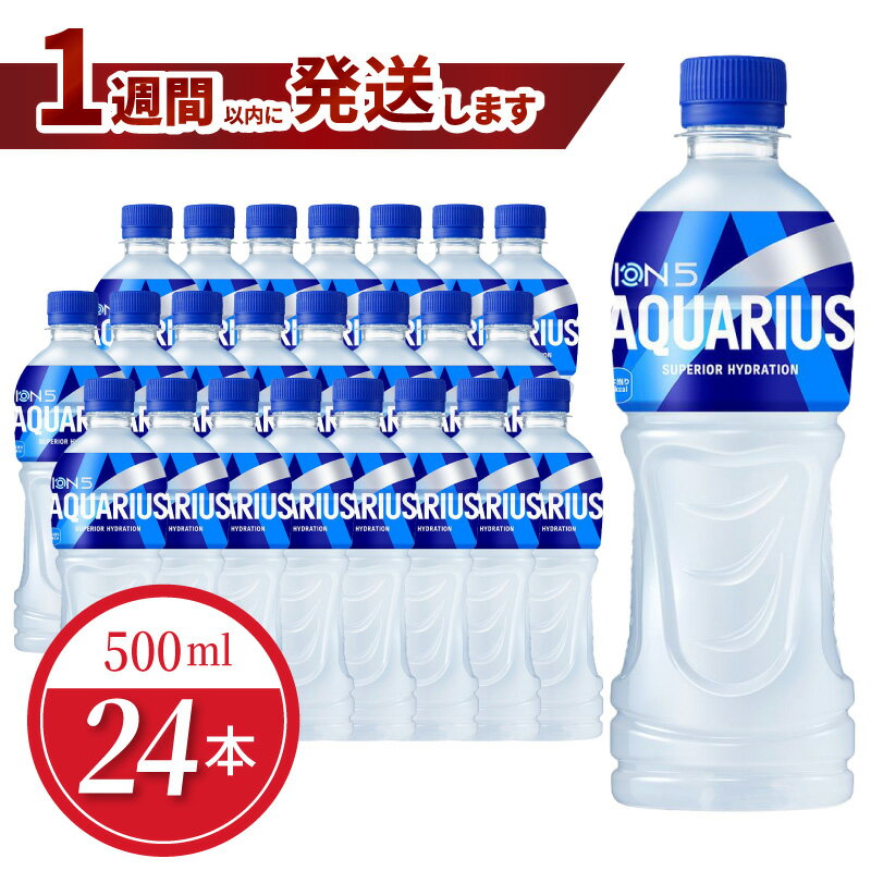 【ふるさと納税】1週間以内に発送 アクエリアス 500ml PET 24本入 コカ・コーラ 人気 ペットボトル 飲料 スポーツ飲料 スポーツドリンク ドリンク ソフトドリンク 熱中症対策 ミネラル アミノ酸 クエン酸 おすそ分け 部活 運動 アウトドア 水分補給 滋賀県 守山市 送料無料